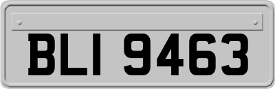 BLI9463