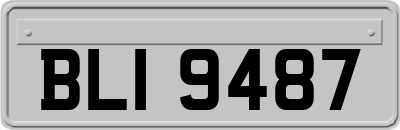 BLI9487