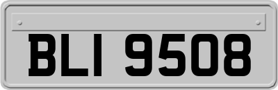 BLI9508