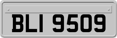 BLI9509