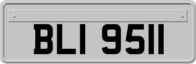 BLI9511