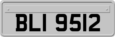BLI9512