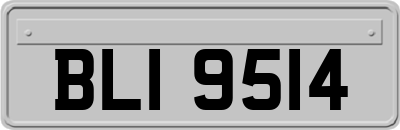 BLI9514
