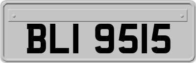 BLI9515