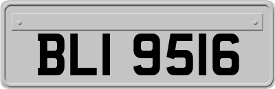 BLI9516