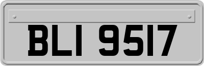 BLI9517