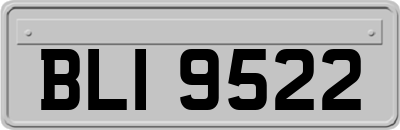 BLI9522