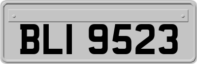 BLI9523