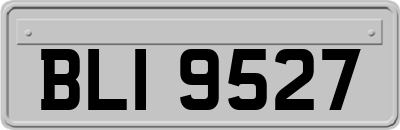 BLI9527