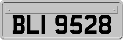 BLI9528