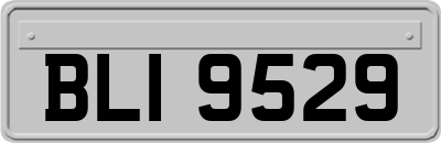 BLI9529