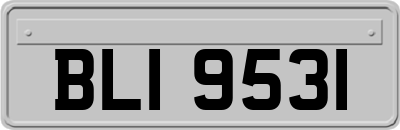 BLI9531