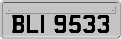 BLI9533