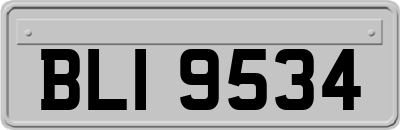 BLI9534