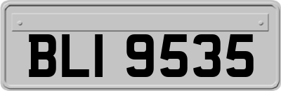 BLI9535
