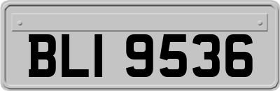 BLI9536