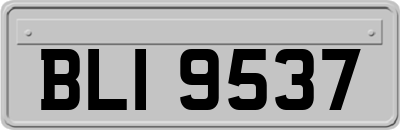BLI9537