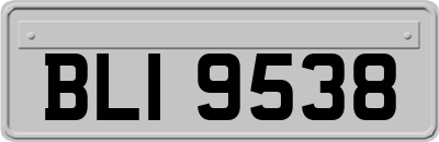 BLI9538