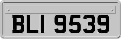 BLI9539