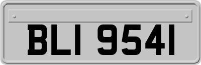 BLI9541