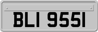 BLI9551