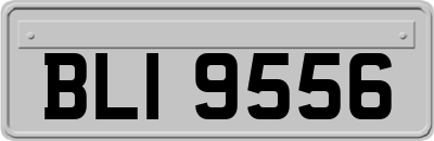 BLI9556
