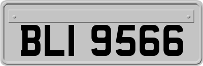 BLI9566