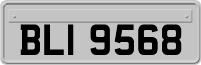 BLI9568