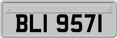 BLI9571