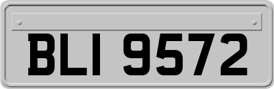 BLI9572