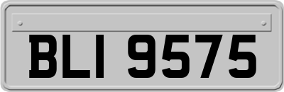 BLI9575
