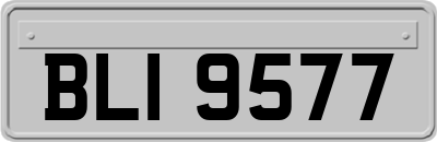 BLI9577