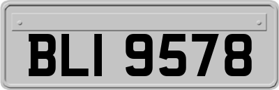 BLI9578