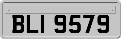 BLI9579