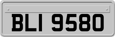BLI9580