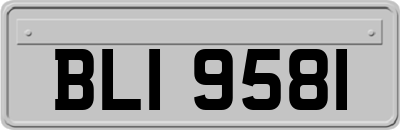 BLI9581