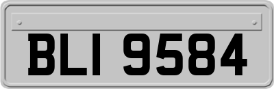 BLI9584