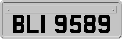 BLI9589