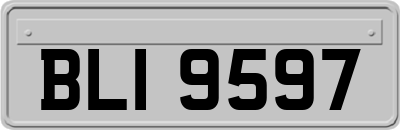 BLI9597