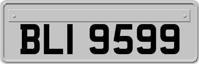 BLI9599