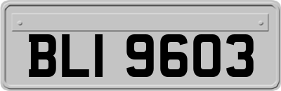 BLI9603
