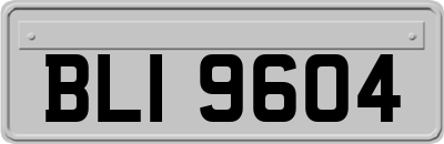 BLI9604