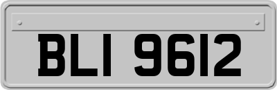BLI9612