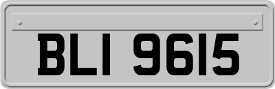 BLI9615