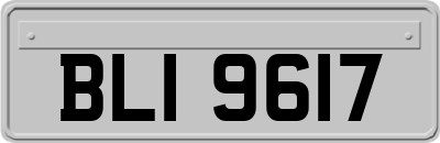 BLI9617