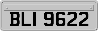 BLI9622