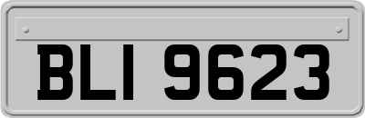 BLI9623