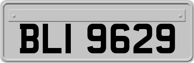 BLI9629