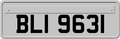 BLI9631