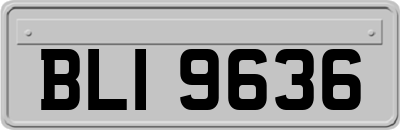 BLI9636